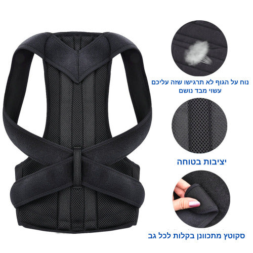 חגורה מייצבת גב