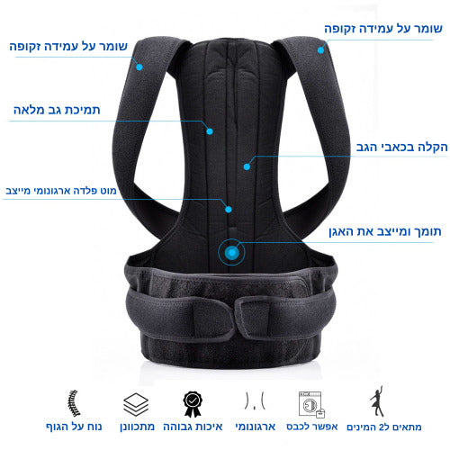 חגורה ליישור הגב
